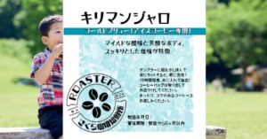 キリマンジャロ　コールドブリュー専用　夏季限定
