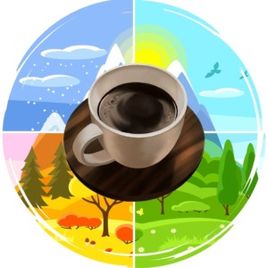 四季を感じるスペシャルティコーヒー定期便