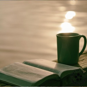 夕日とスペシャルティコーヒーと読書で最高の時間を過ごす