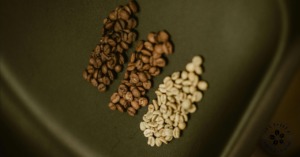 スペシャルティコーヒー専門店の焙煎度合についての完全解説記事。