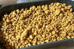 ゲイシャの芽が出た生豆を植えました。