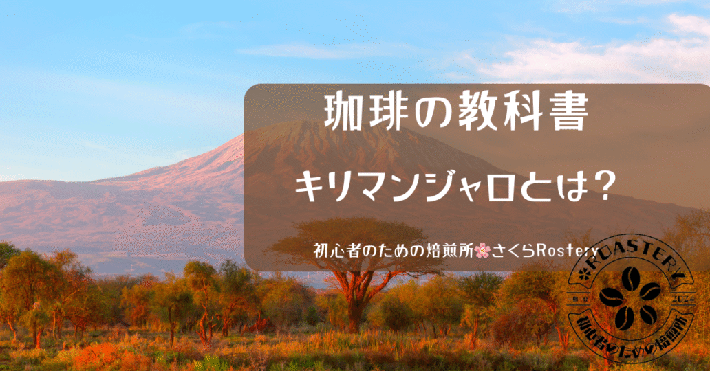 キリマンジャロで収穫される珈琲について徹底解説｜珈琲の教科書＠初心者のための焙煎所さくらRostery