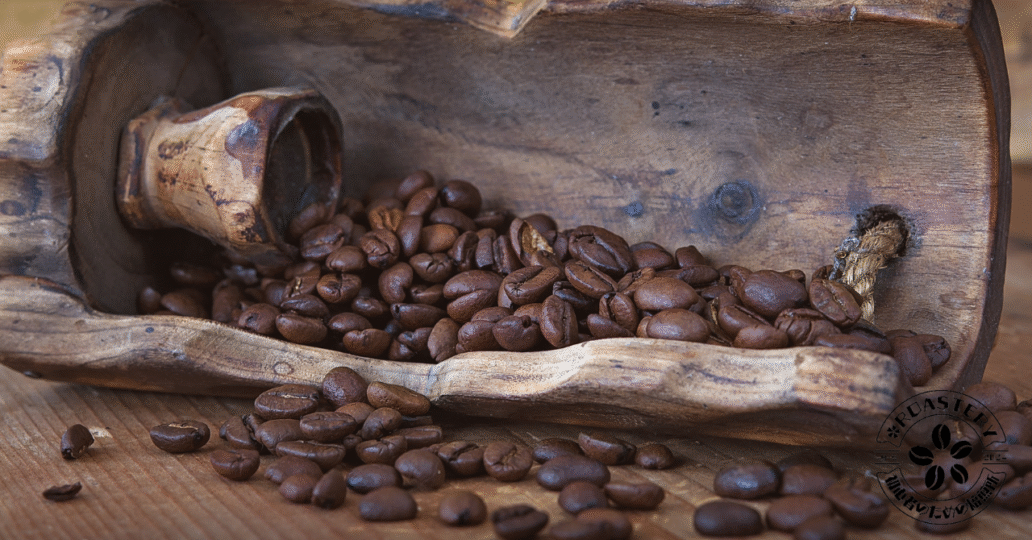 アラビカ豆とロブスタ豆とは？詳しく解説します。