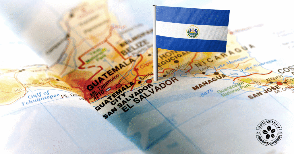 エルサルバドルの華やかな香りを楽しんでください。